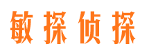 虎林敏探私家侦探公司